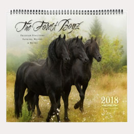 2018 Forest Boyz Calendar
